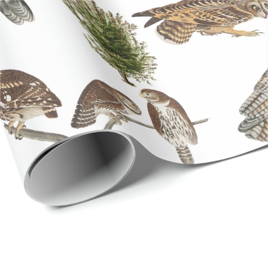 ヴィンテージフクロウの水彩林の模様 ラッピングペーパー (ロールコーナー)