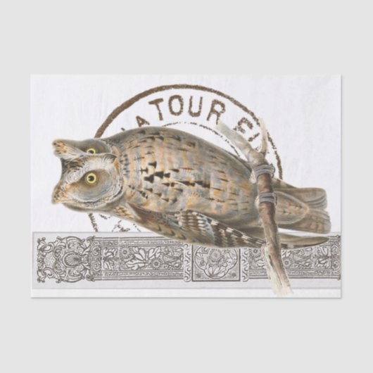 ヴィンテージフクロウの鳥の茶色の切り離しフランスのの消印 薄葉紙 (正面)