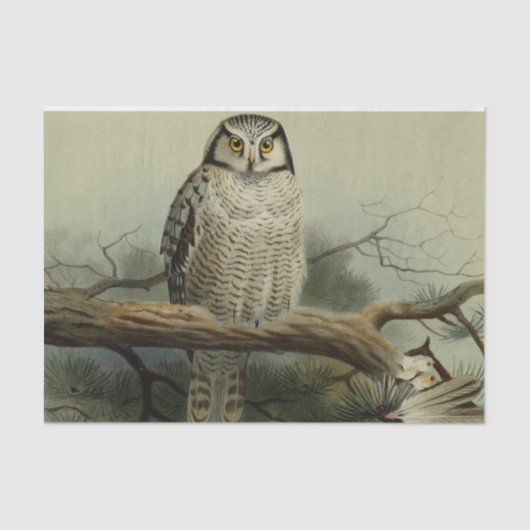 ヴィンテージフクロウはパーティーを好む 薄葉紙 (正面)