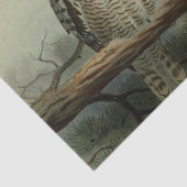 ヴィンテージフクロウはパーティーを好む 薄葉紙 (詳細)