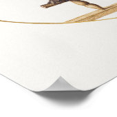 ヴィンテージフクロウイラストレーションポスター ポスター (角)