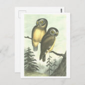 ヴィンテージフクロウイラストレーション葉書 ポストカード (正面/裏面)