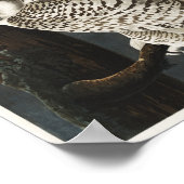 ヴィンテージフクロウイラストレーション ポスター (角)