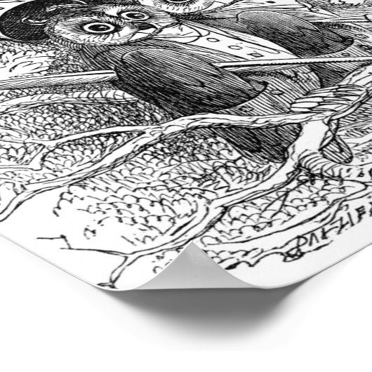 ヴィンテージフクロウイラストレーション ポスター (角)