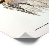 ヴィンテージフクロウイラストレーション ポスター (角)