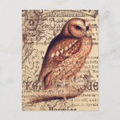 ヴィンテージフクロウエフェメラデコパージポストカード ポストカード (正面)