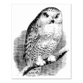 ヴィンテージフクロウオンブランチラバーアートスタンプ ラバースタンプ (インプリント)