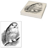 ヴィンテージフクロウオンブランチラバーアートスタンプ ラバースタンプ (押印)