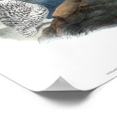 ヴィンテージフクロウグールド ポスター (角)