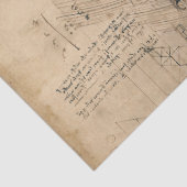 ヴィンテージフクロウスケッチ 薄葉紙 (詳細)