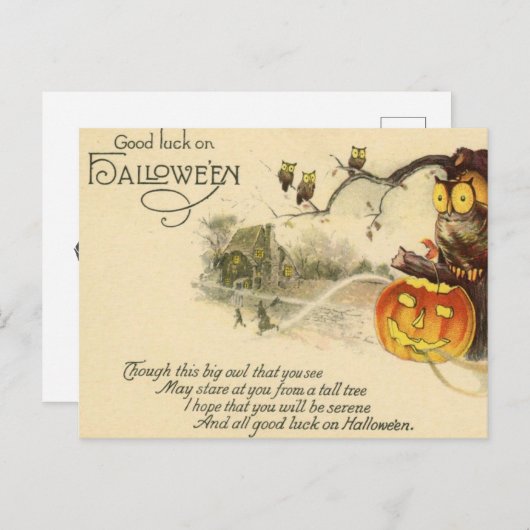 ヴィンテージフクロウハロウィーンのカボチャのちょうちんウィッチハロウィーン ポストカード (正面/裏面)