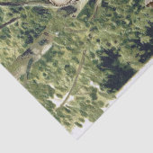 ヴィンテージフクロウバードフォレスト樺の木ツリーウッズデクページ 薄葉紙 (詳細)