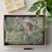 ヴィンテージフクロウバードフォレスト樺の木ツリーウッズデクページ 薄葉紙 (ギフト)