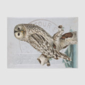 ヴィンテージフクロウバードブルーデコップエスフランスのマーク 薄葉紙 (正面)