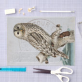 ヴィンテージフクロウバードブルーデコップエスフランスのマーク 薄葉紙 (クラフト)