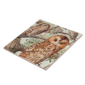 ヴィンテージフクロウ動物の装飾セラミックタイル タイル (側面)