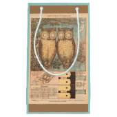 ヴィンテージフクロウ可愛い秋のクラフトブルーブラウン スモールペーパーバッグ (正面)