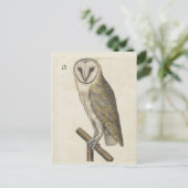 ヴィンテージフクロウ葉書 ポストカード (スタンド正面)