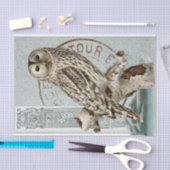 ヴィンテージフクロウ鳥のティール(緑がかった色)切り離しフランスの消印 薄葉紙 (クラフト)