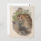 ヴィンテージフクロウ鳥はがき ポストカード (正面/裏面)