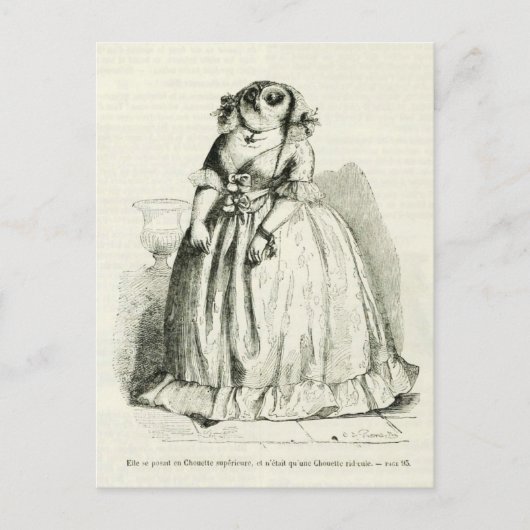 ヴィンテージフクロウ ポストカード (正面)