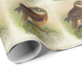 ヴィンテージフクロウ ラッピングペーパー (ロールコーナー)