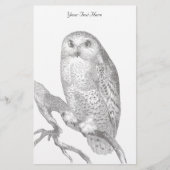 ヴィンテージフクロウ 便箋 (正面)