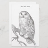 ヴィンテージフクロウ 便箋 (正面/裏面)