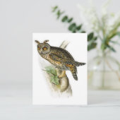 ヴィンテージフクロウasio outus ポストカード (スタンド正面)