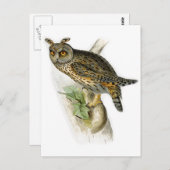 ヴィンテージフクロウasio outus ポストカード (正面/裏面)