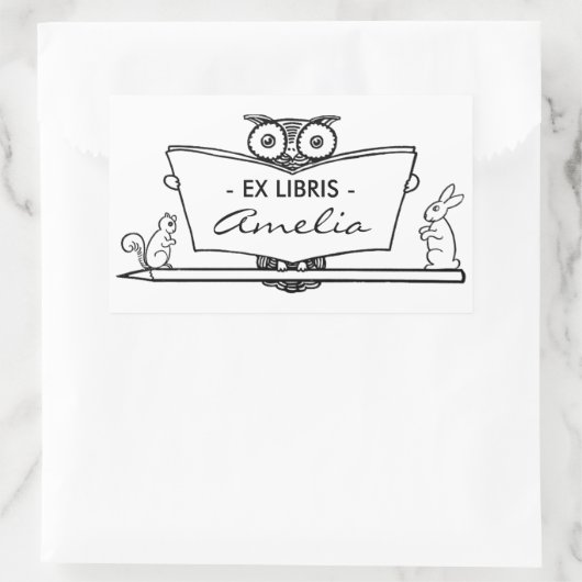 ヴィンテージフクロウExライブラリ蔵書票図書室プレート 長方形シール (バッグ)