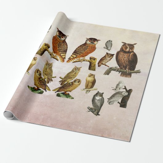 ヴィンテージフクロズ鳥獣アートコラージュ ラッピングペーパー (アンロールド)