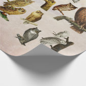 ヴィンテージフクロズ鳥獣アートコラージュ ラッピングペーパー (角)