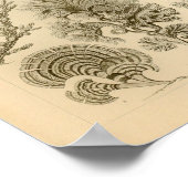 ヴィンテージフコイデアカラーエルンストヘッケルプリント ポスター (角)