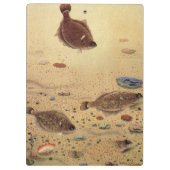 ヴィンテージフラウンダー、海洋海ライフフラットフィッシュ クリップボード (裏面)