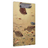 ヴィンテージフラウンダー、海洋海ライフフラットフィッシュ クリップボード (右)