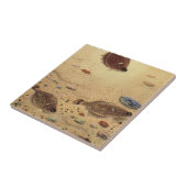 ヴィンテージフラウンダー、海洋海ライフフラットフィッシュ タイル (側面)