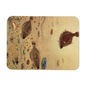 ヴィンテージフラウンダー、海洋海ライフフラットフィッシュ マグネット (横)