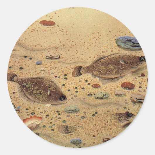 ヴィンテージフラウンダー、海洋海ライフフラットフィッシュ ラウンドシール (正面)