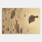 ヴィンテージフラウンダー、海洋海ライフフラットフィッシュ ラッピングペーパーシート (正面)