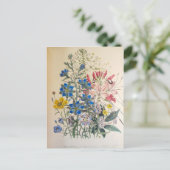 ヴィンテージフラックスとクレオメボタニカルイラストレーション ポストカード (スタンド正面)