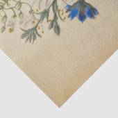 ヴィンテージフラックスアンドクレオメボタニカルティッシュペーパー 薄葉紙 (詳細)