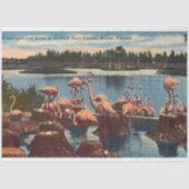 ヴィンテージフラミンゴスの巣マイアミのフロリダ 薄葉紙 (正面)