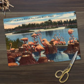 ヴィンテージフラミンゴスの巣マイアミのフロリダ 薄葉紙