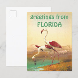 ヴィンテージフラミンゴスFlorida Travel ポストカード