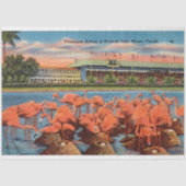 ヴィンテージフラミンゴネストセッティングインマイアミFL 薄葉紙 (正面)