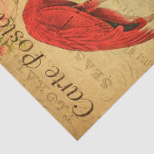 ヴィンテージフラミンゴフローラフランスのカルテポスタレ 薄葉紙 (詳細)