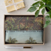 ヴィンテージフラミンゴ食べ物を与えスズの若いマイアミフロリダ 薄葉紙 (ギフト)