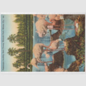 ヴィンテージフラミンゴ食べ物を与えスズの若いマイアミフロリダ 薄葉紙 (正面)