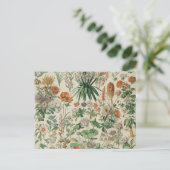 ヴィンテージフラワーズイラストレーションアドルフミロ ポストカード (スタンド正面)